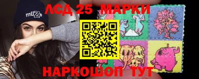 стаф Будённовск