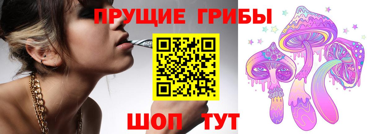 Псилоцибиновые грибы Cubensis  Вход с VPN  Жигулёвск 