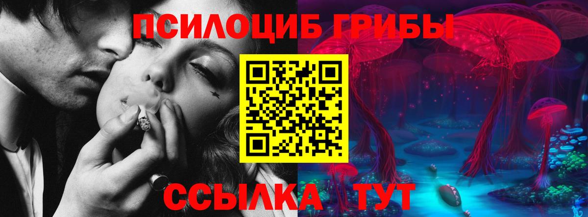 Галлюциногенные грибы прущие грибы Жигулёвск